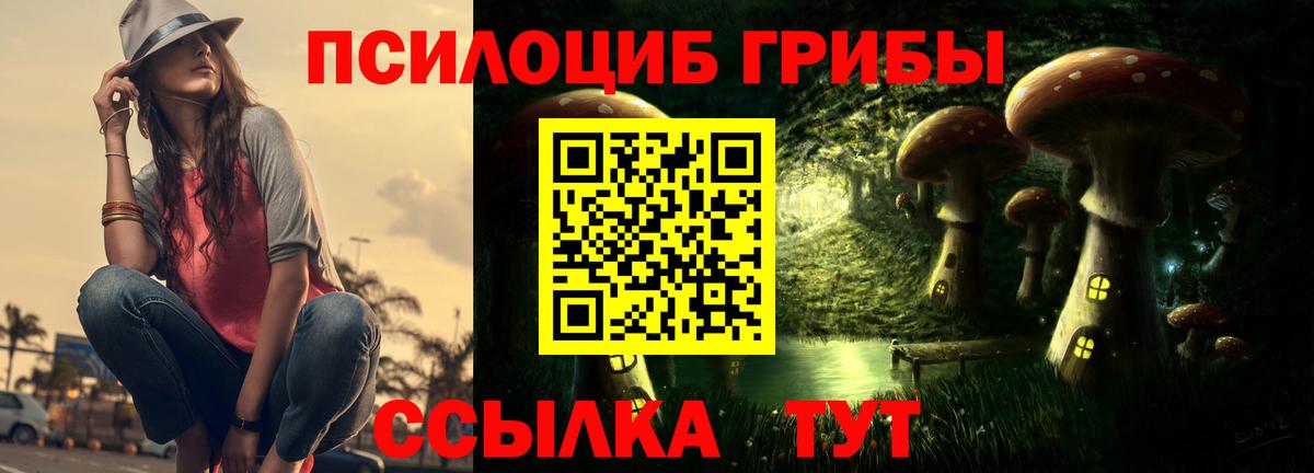 Псилоцибиновые грибы GOLDEN TEACHER  Галлюциногенные грибы GOLDEN TEACHER  Вход с VPN  Первоуральск 
